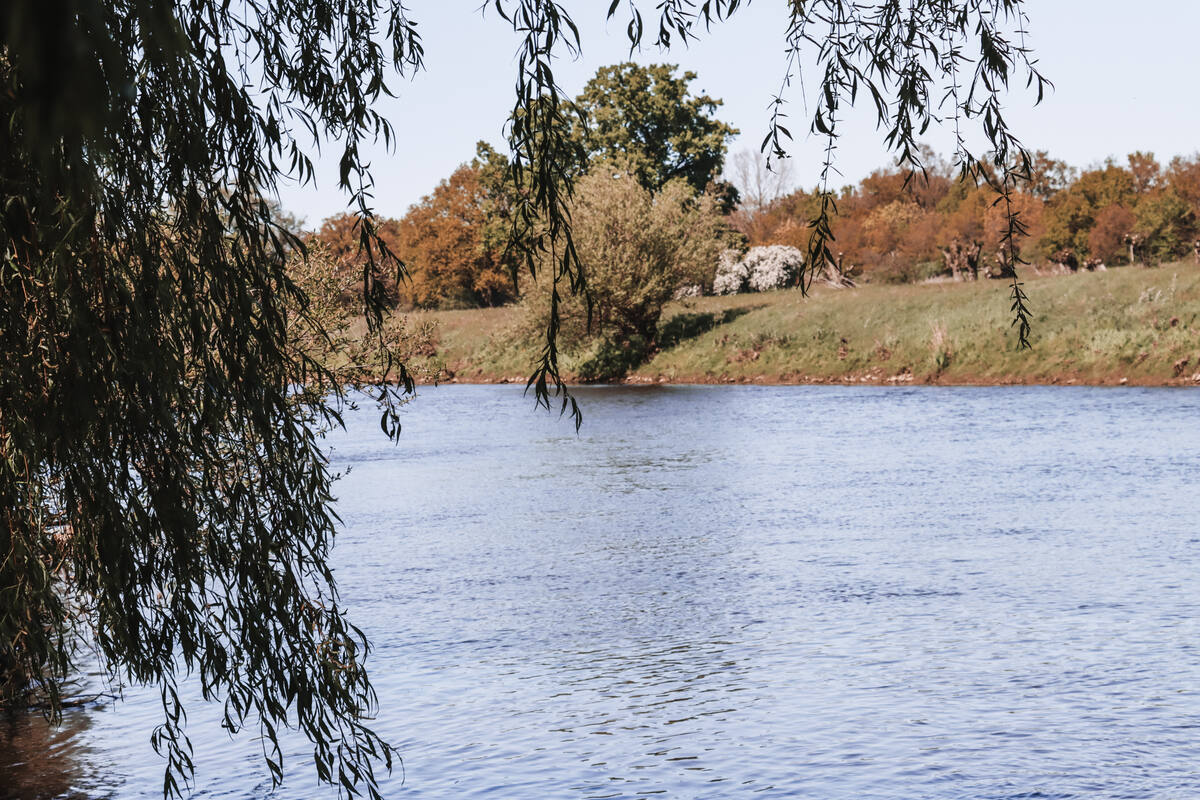 Blick auf die Ems mit hängenden Weidenzweigen, herbstlich gefärbte Bäume am gegenüberliegenden Ufer