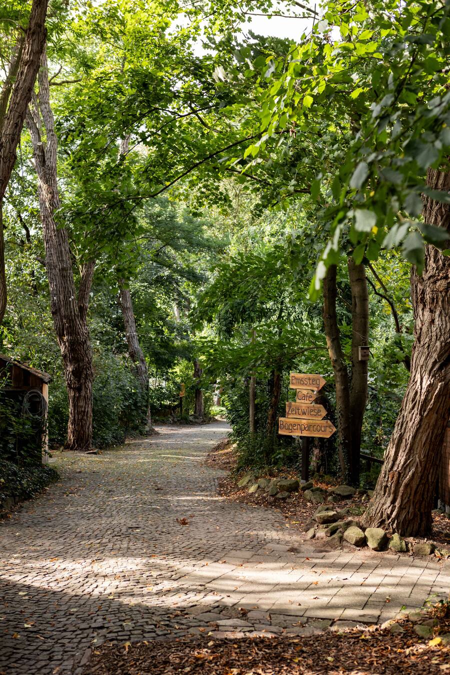 Wegweiser zu Emssteg, Café, Zeltwiese und Bogenparcours auf dem schattigen Weg durchs FREY-Gelände
